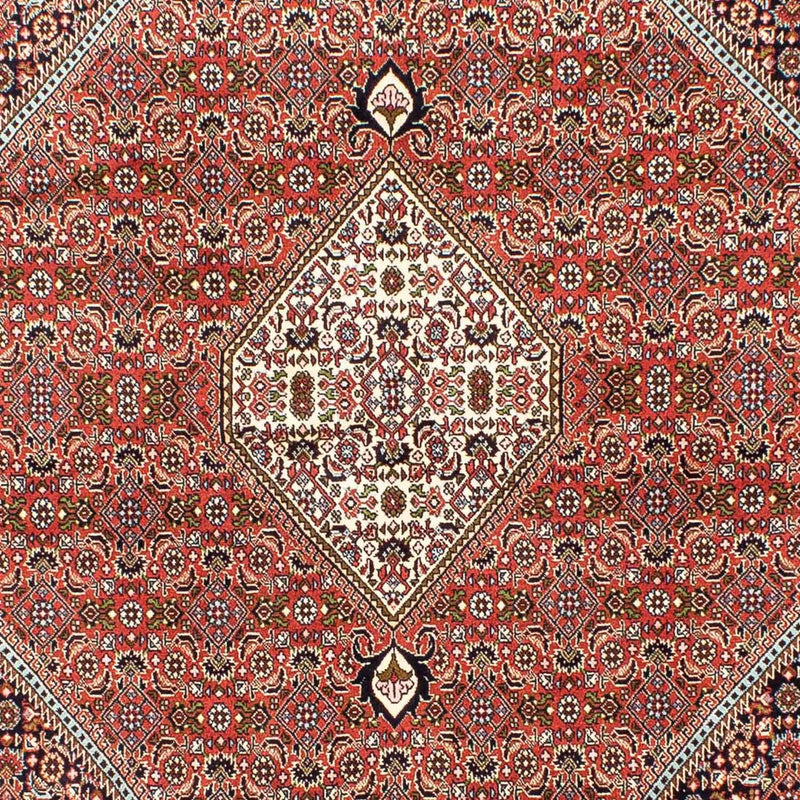 ビジャー 絨毯 253x174cm - ペルシャ絨毯
