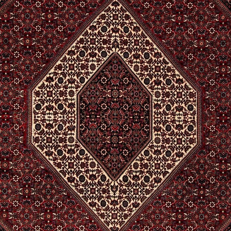 ビジャー 絨毯 251x203cm - ペルシャ絨毯