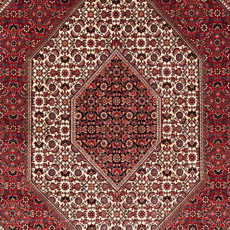 ビジャー 絨毯 242x170cm - ペルシャ絨毯