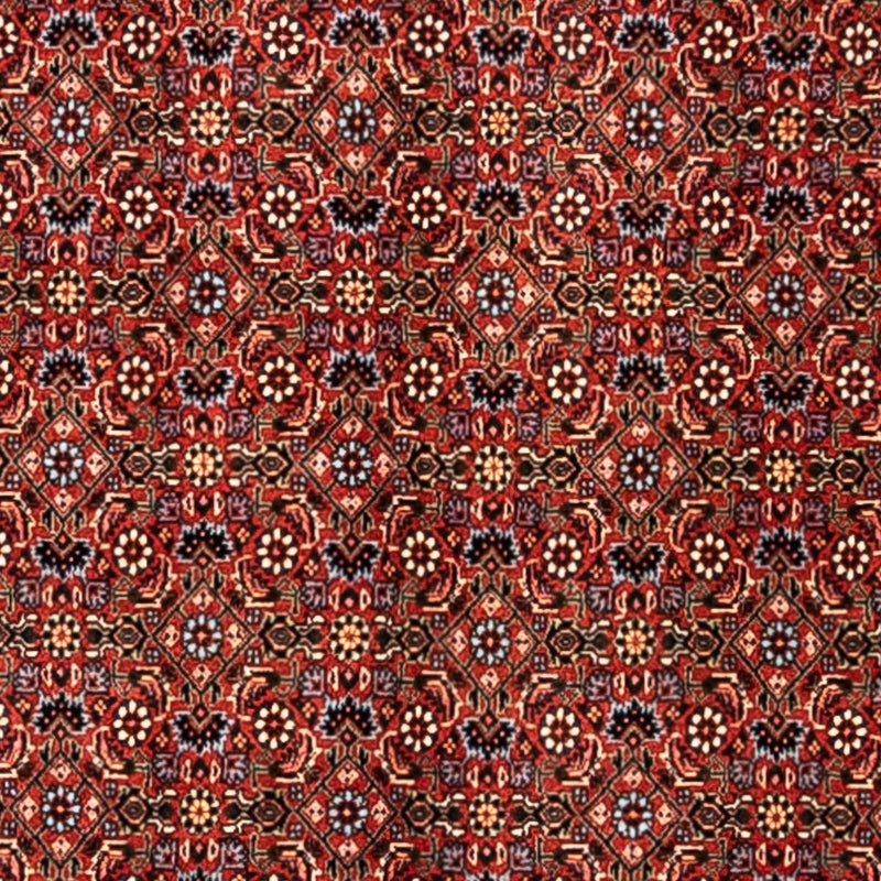 ビジャー - タカブ 絨毯 363x248cm - ペルシャ絨毯