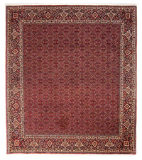 ビジャー 絨毯 288x256cm - ペルシャ絨毯 – product image
