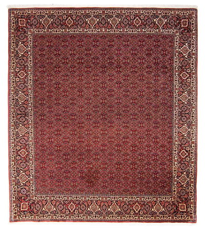 ビジャー 絨毯 256x288cm - ペルシャ絨毯