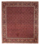 ビジャー 絨毯 288x256cm - ペルシャ絨毯