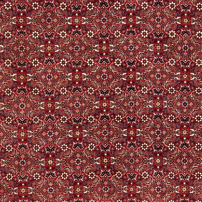 ビジャー 絨毯 288x256cm - ペルシャ絨毯