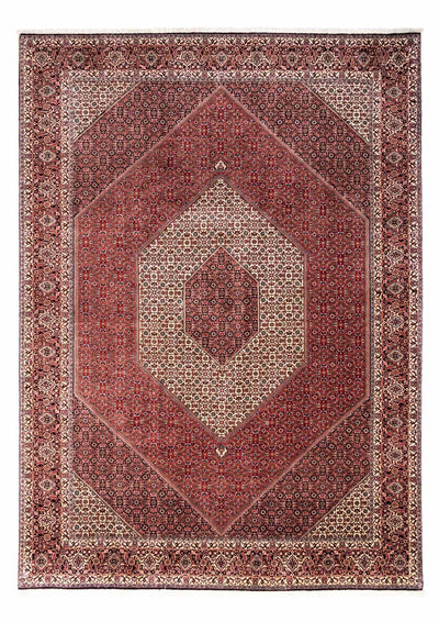 ビジャー - タカブ 絨毯 253x343cm - ペルシャ絨毯