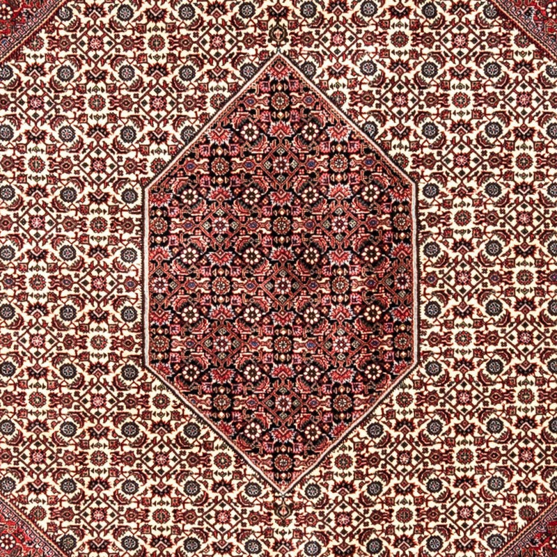 ビジャー - タカブ 絨毯 343x253cm - ペルシャ絨毯