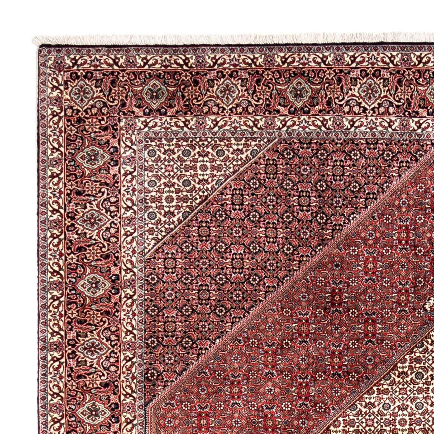 ビジャー - タカブ 絨毯 343x253cm - ペルシャ絨毯