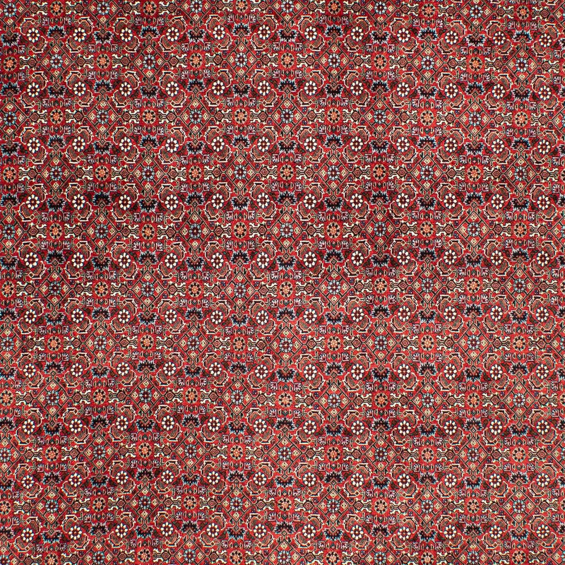 ビジャー 絨毯 290x203cm - ペルシャ絨毯