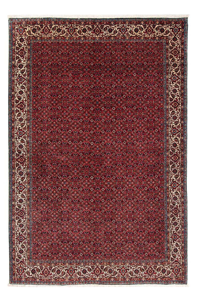 ビジャー 絨毯 243x172cm - ペルシャ絨毯