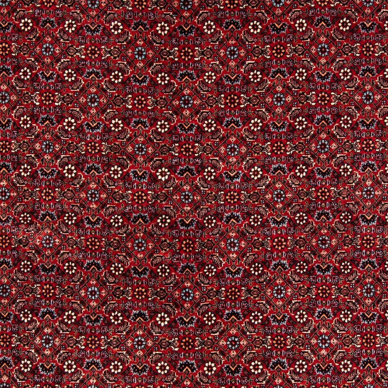 ビジャー 絨毯 243x172cm - ペルシャ絨毯