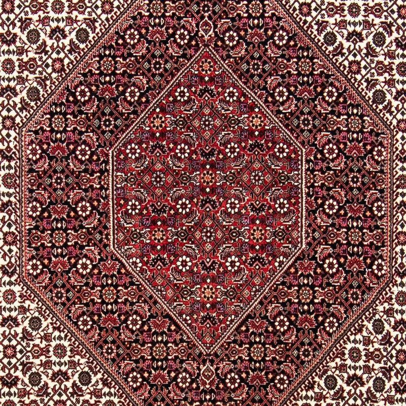ビジャー 絨毯 240x170cm - ペルシャ絨毯