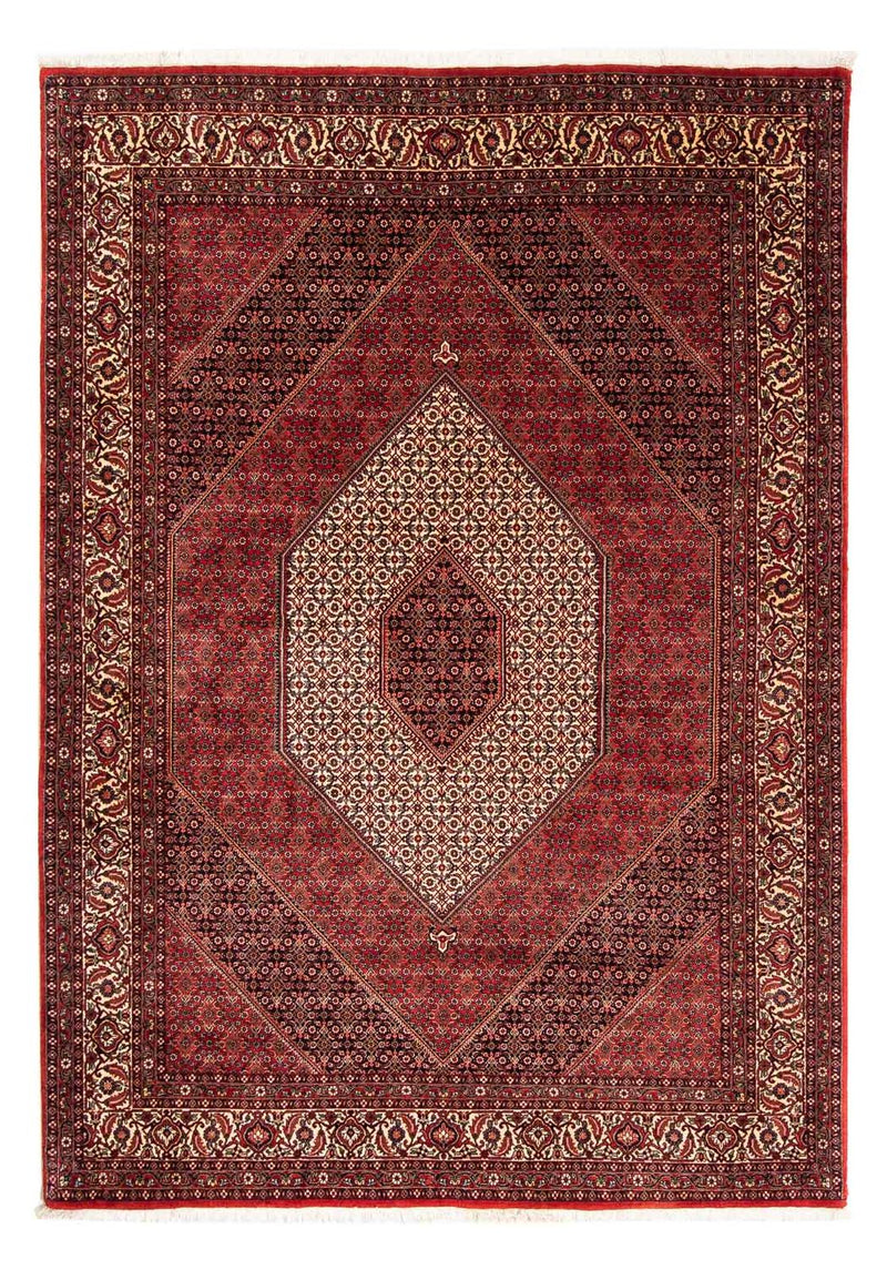 ビジャー 絨毯 248x171cm - ペルシャ絨毯