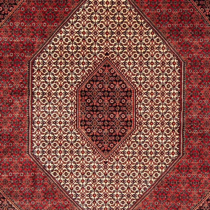 ビジャー 絨毯 248x171cm - ペルシャ絨毯