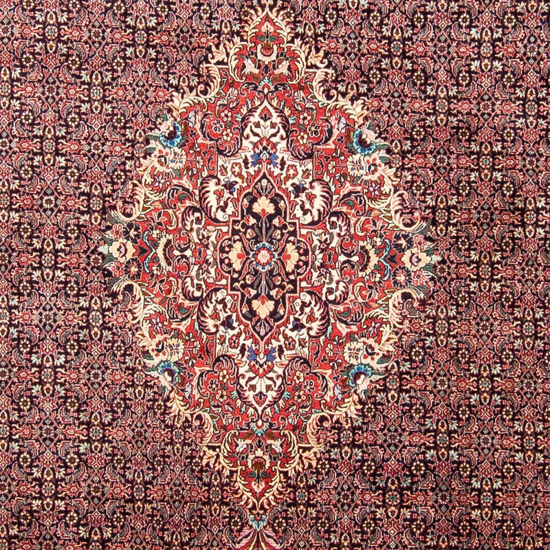 ビジャー 絨毯 355x246cm - ペルシャ絨毯