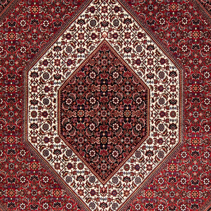ビジャー 絨毯 229x170cm - ペルシャ絨毯