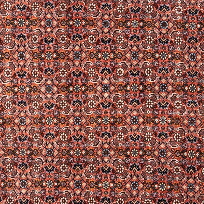 ビジャー - タカブ 絨毯 288x206cm - ペルシャ絨毯