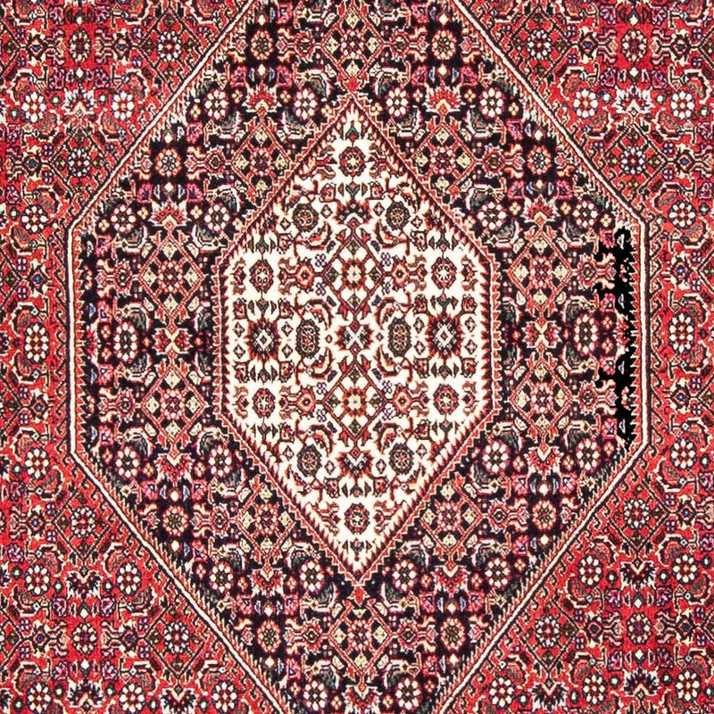ビジャー 絨毯 185x110cm - ペルシャ絨毯