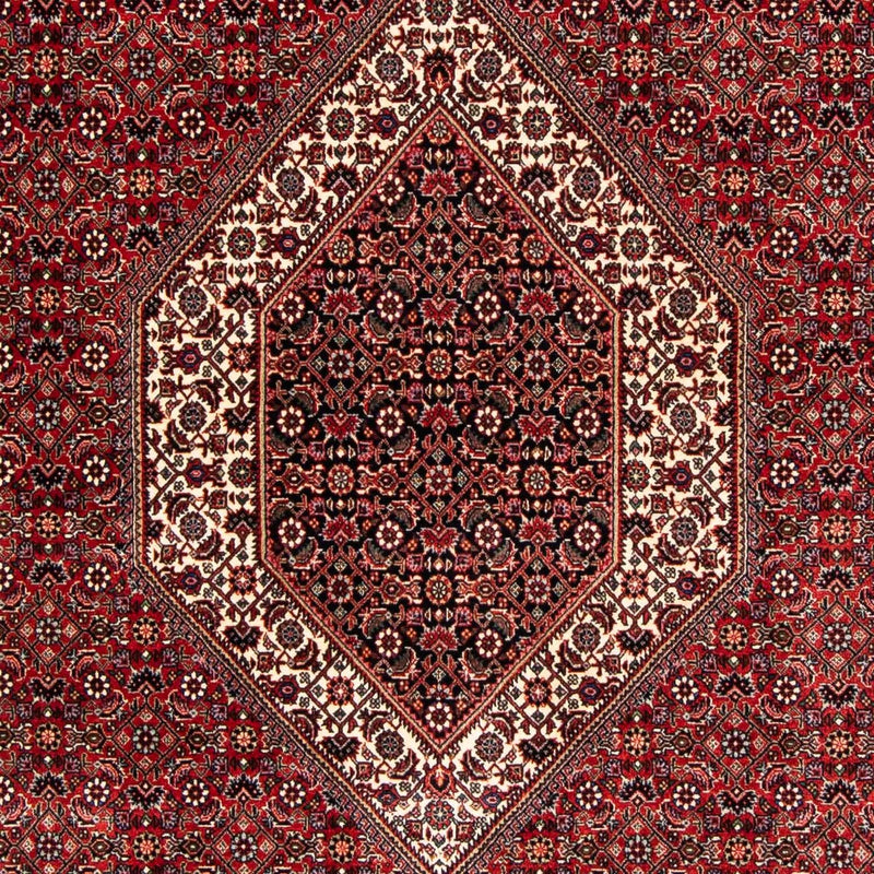ビジャー 絨毯 250x170cm - ペルシャ絨毯