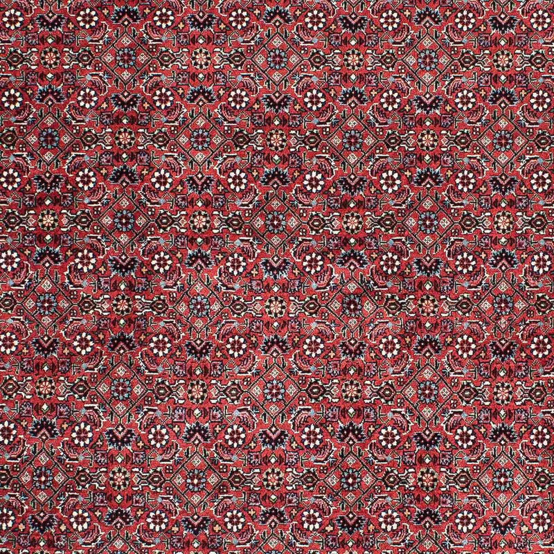 ビジャー 絨毯 212x130cm - ペルシャ絨毯