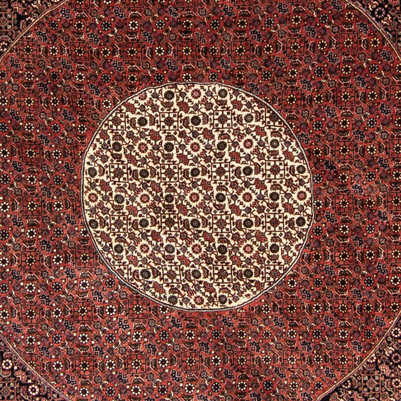 ビジャー 絨毯 260x260cm - ペルシャ絨毯