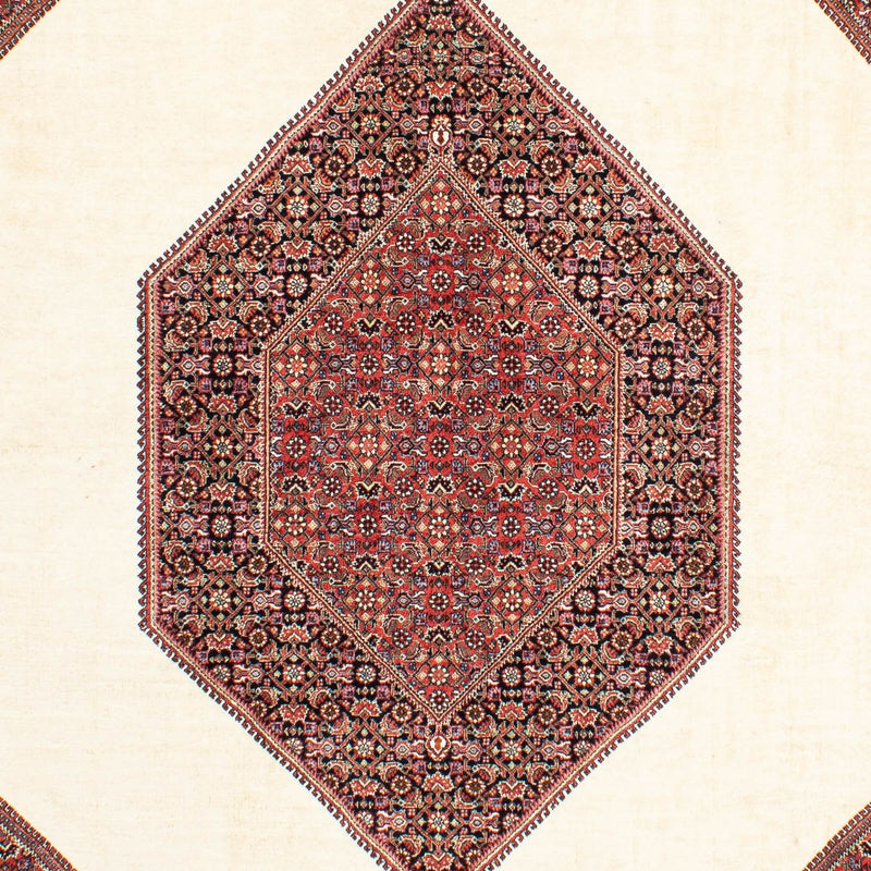 ビジャー 絨毯 300x200cm - ペルシャ絨毯