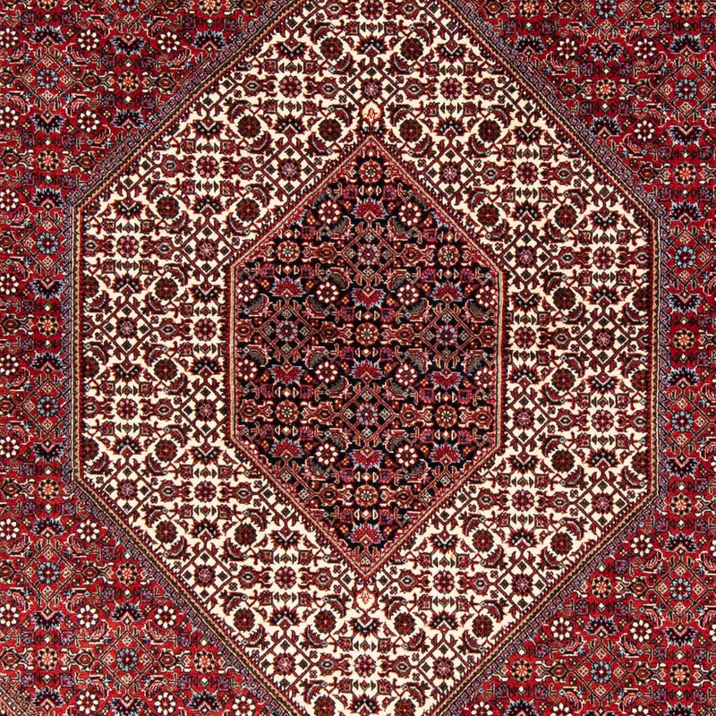 ビジャー 絨毯 246x171cm - ペルシャ絨毯