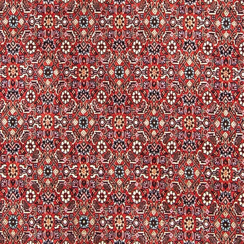 ビジャー 絨毯 297x249cm - ペルシャ絨毯