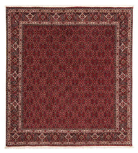 ビジャー 絨毯 212x206cm - ペルシャ絨毯 – product image