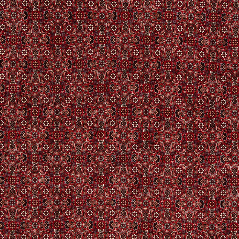 ビジャー 絨毯 212x206cm - ペルシャ絨毯