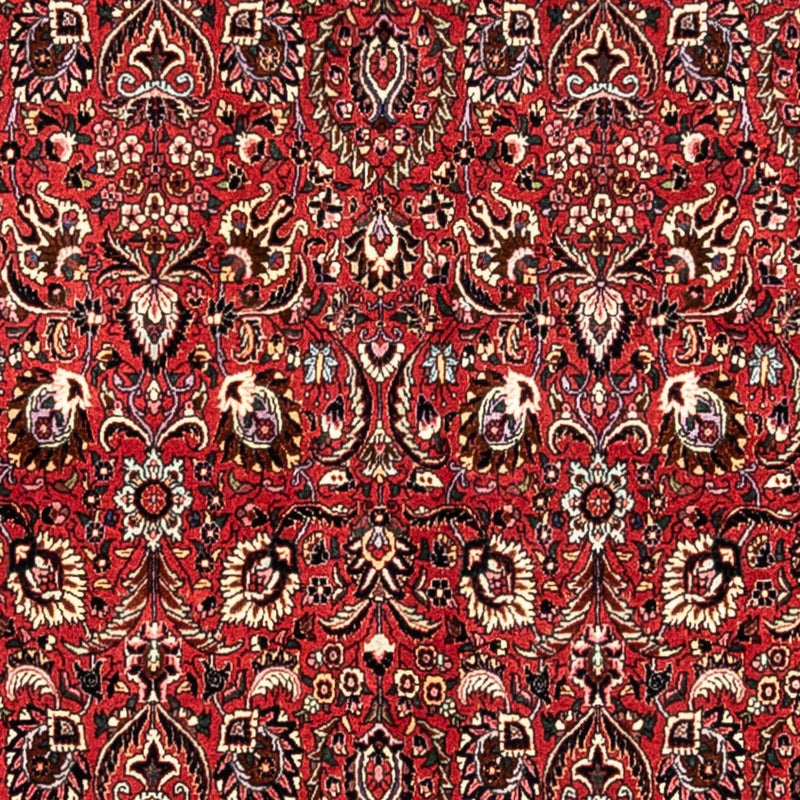 ビジャー - タカブ 絨毯 349x252cm - ペルシャ絨毯