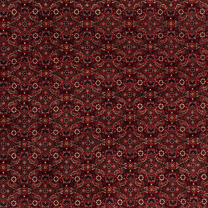 ビジャー 絨毯 212x205cm - ペルシャ絨毯