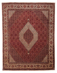 ビジャー 絨毯 304x251cm - ペルシャ絨毯 – product image
