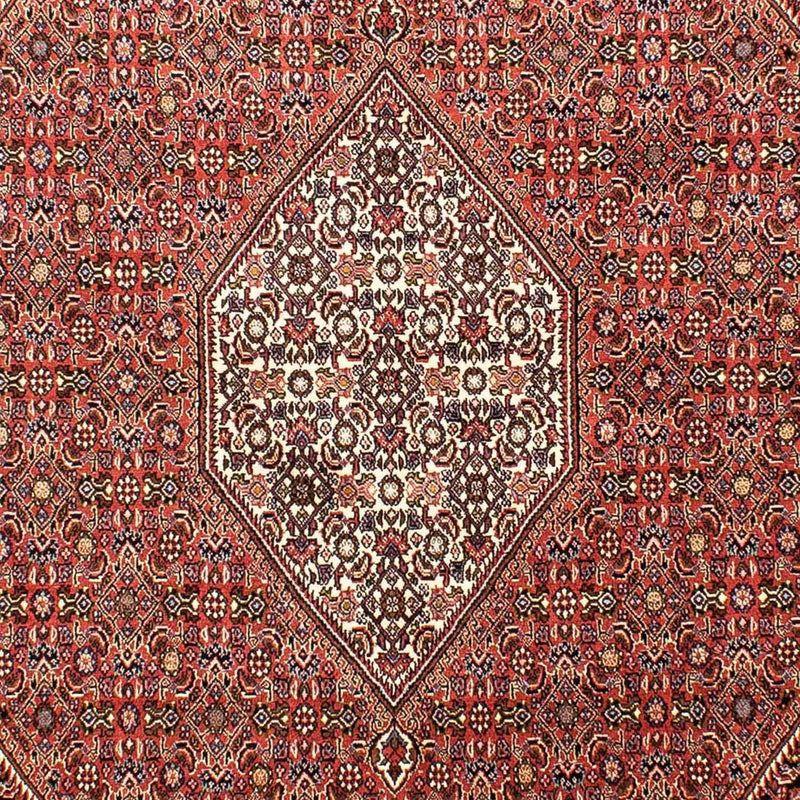 ビジャー 絨毯 268x165cm - ペルシャ絨毯