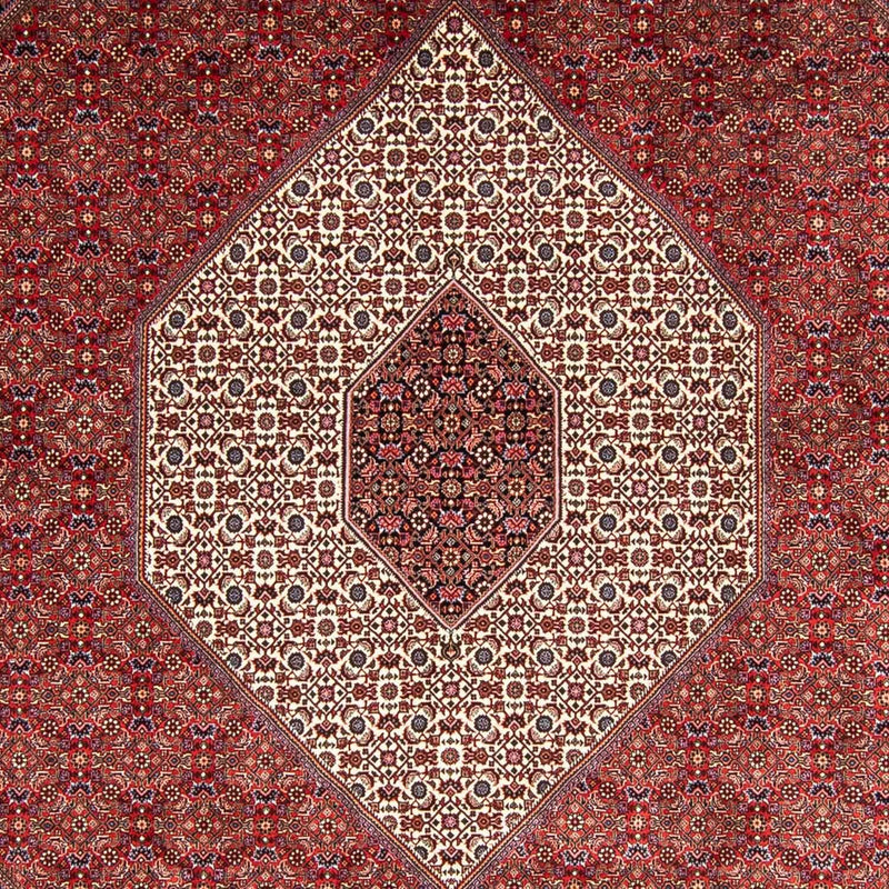 ビジャー 絨毯 348x252cm - ペルシャ絨毯