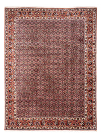 ビジャー - タカブ 絨毯 248x332cm - ペルシャ絨毯 - ラスト – product image