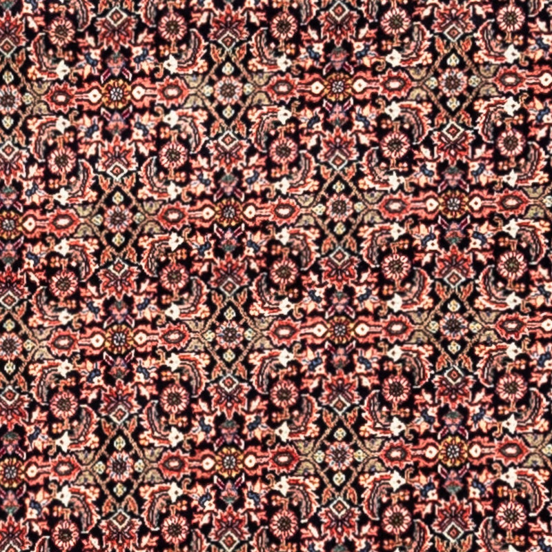 ビジャー - タカブ 絨毯 332x248cm - ペルシャ絨毯