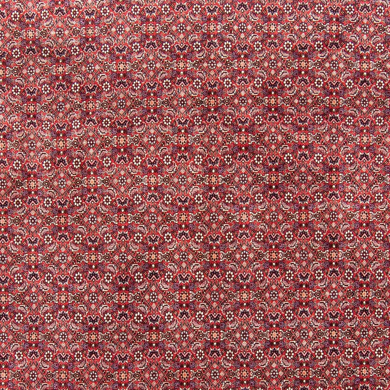 ビジャー 絨毯 343x251cm - ペルシャ絨毯