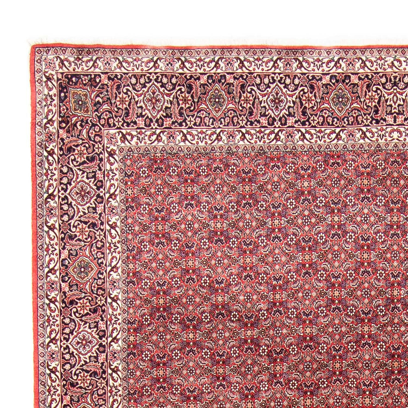 ビジャー 絨毯 343x251cm - ペルシャ絨毯