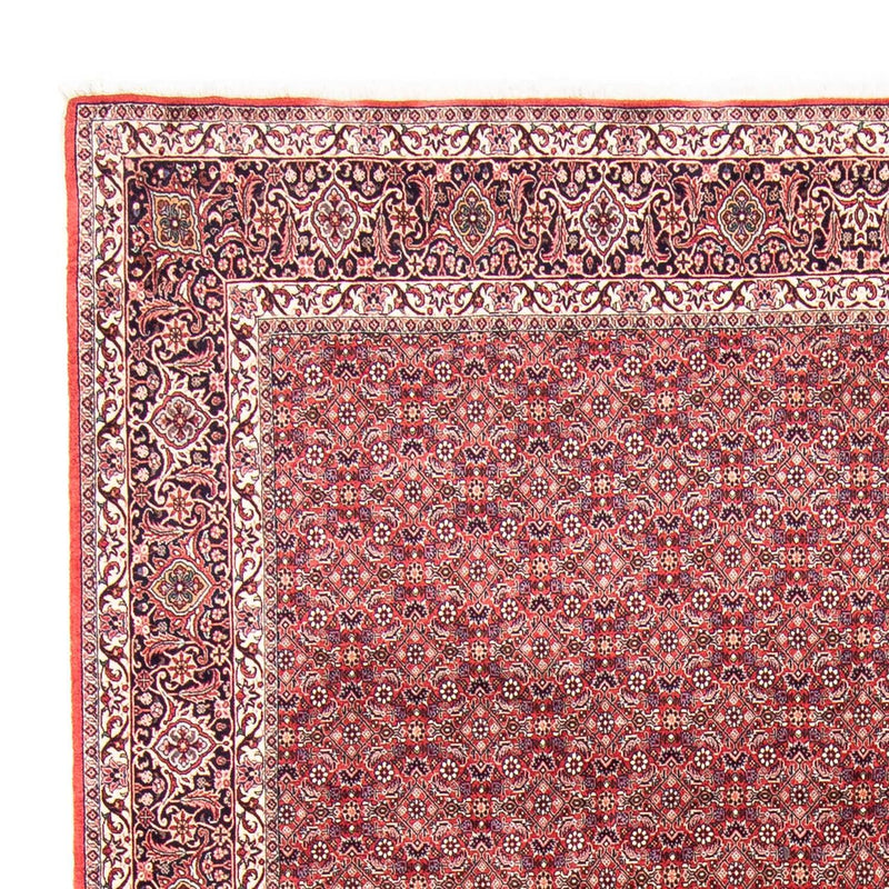 ビジャー 絨毯 343x251cm - ペルシャ絨毯