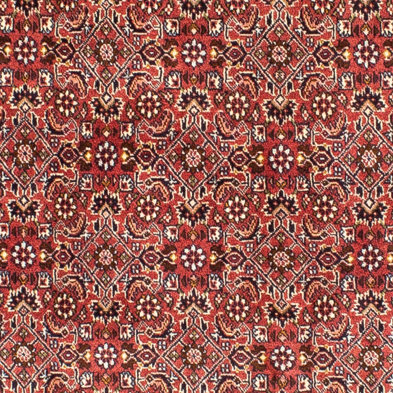 ビジャー 絨毯 197x190cm - ペルシャ絨毯