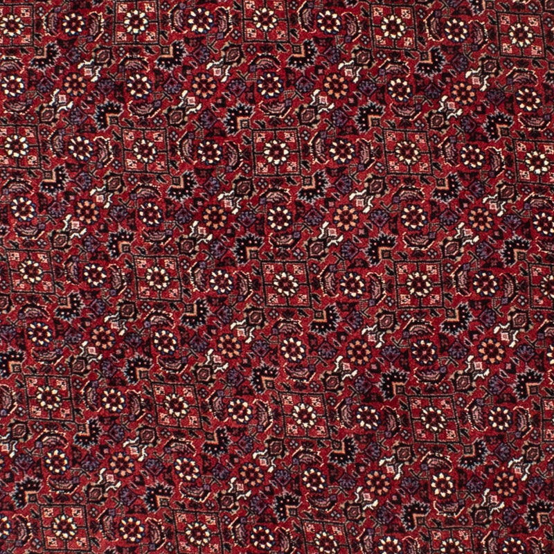 ビジャー 絨毯 150x150cm - ペルシャ絨毯