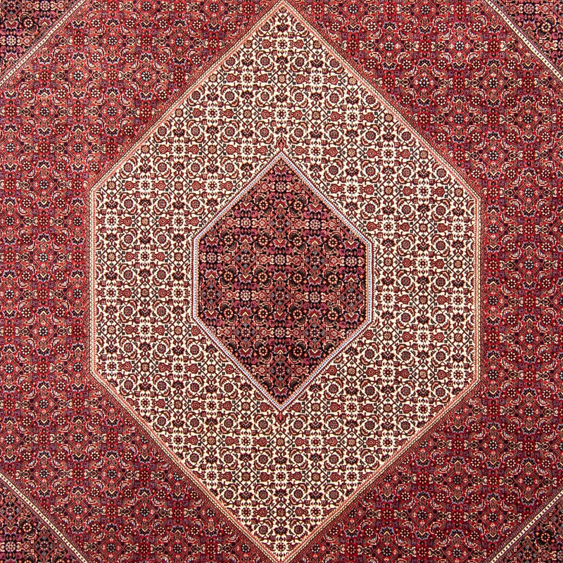 ビジャー 絨毯 358x253cm - ペルシャ絨毯