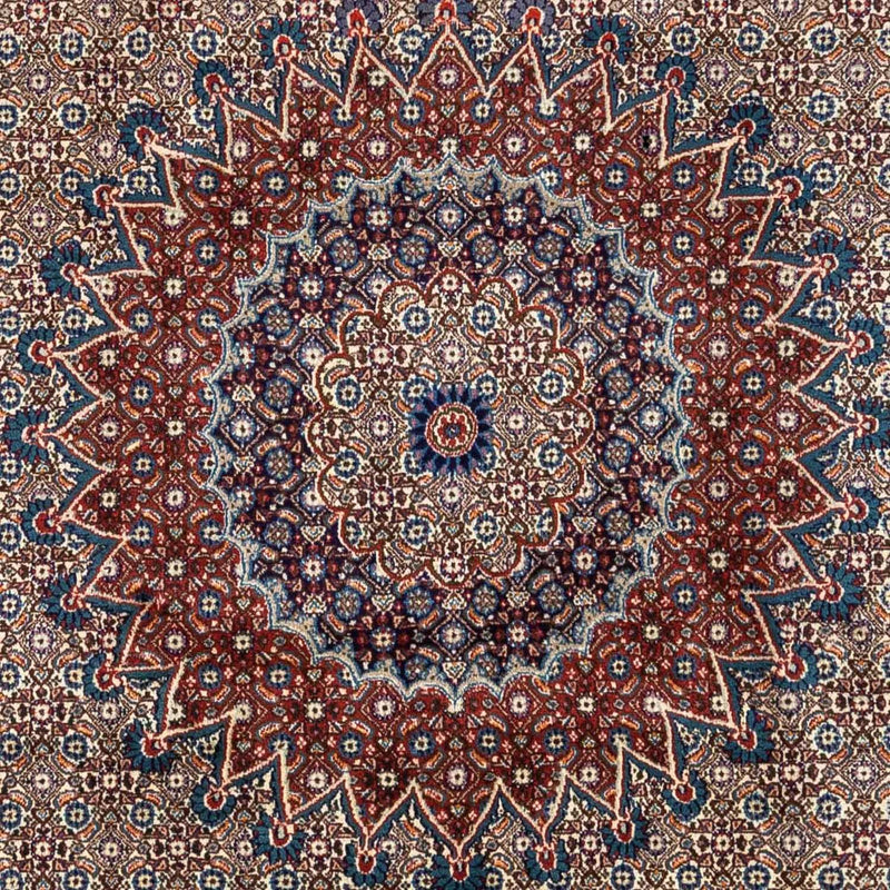 モウド 絨毯 332x245cm - ペルシャ絨毯