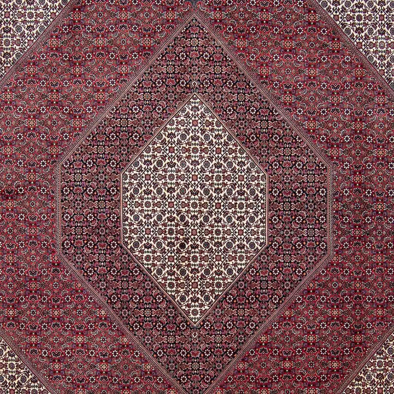 ビジャー 絨毯 340x300cm - ペルシャ絨毯