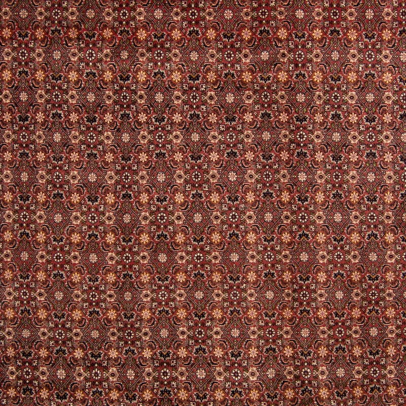 ビジャー 絨毯 352x252cm - ペルシャ絨毯