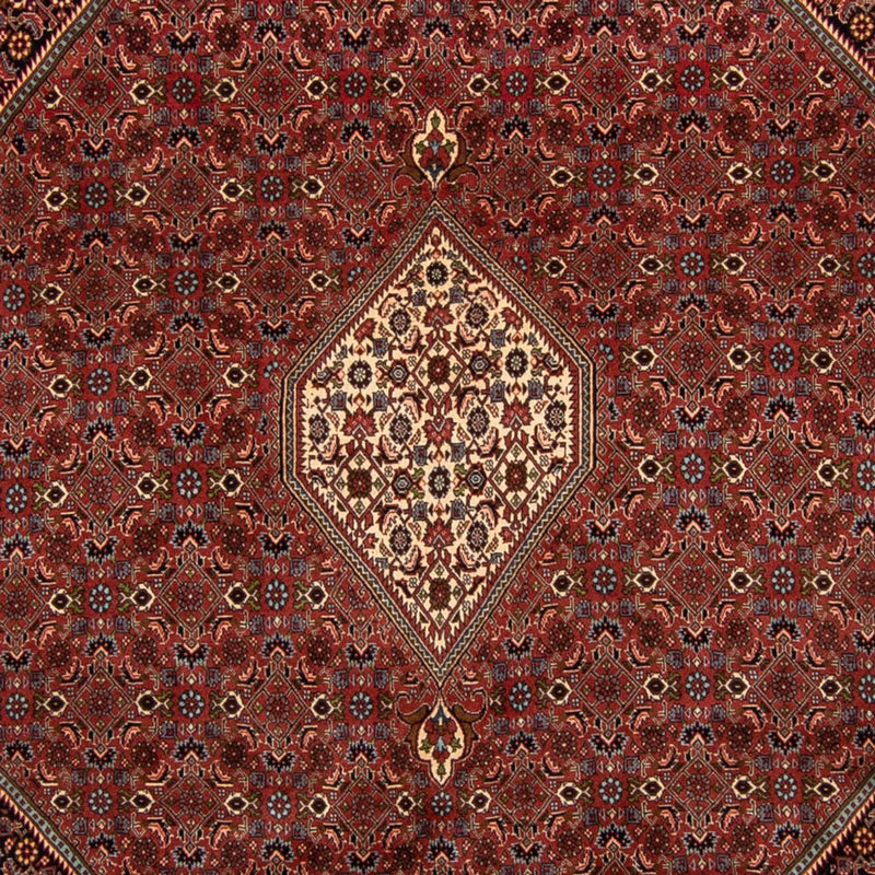 ビジャー 絨毯 329x255cm - ペルシャ絨毯