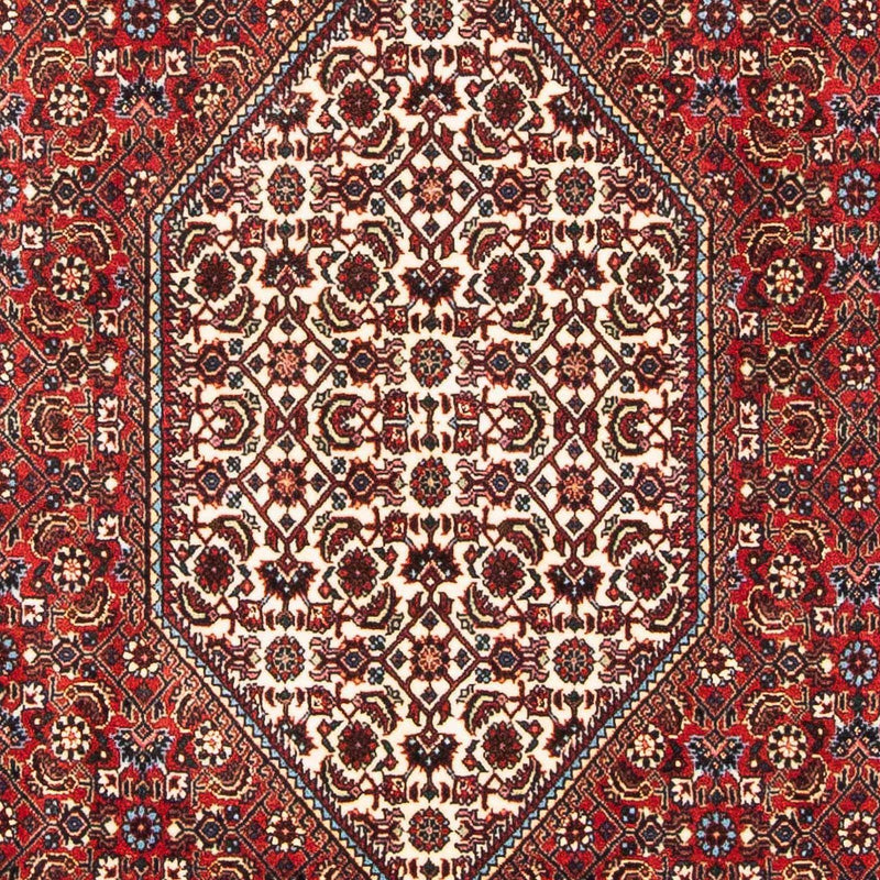 ビジャー 絨毯 183x111cm - ペルシャ絨毯