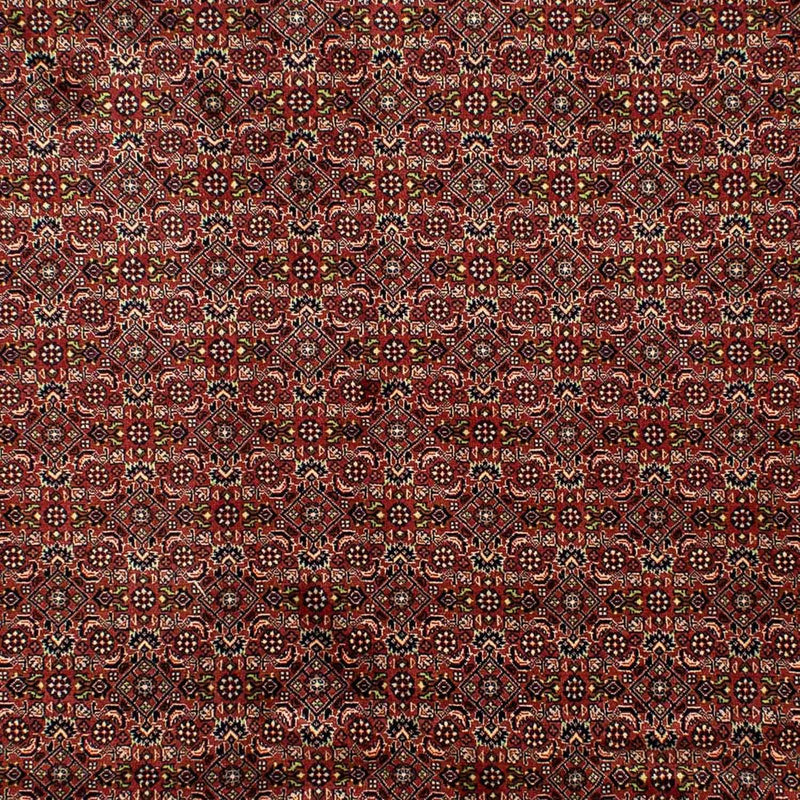ビジャー 絨毯 298x202cm - ペルシャ絨毯