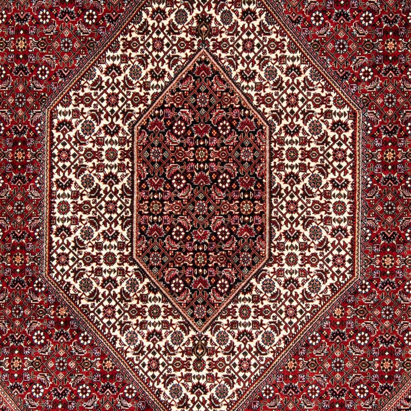 ビジャー 絨毯 243x167cm - ペルシャ絨毯