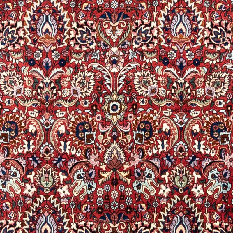 ビジャー - タカブ 絨毯 343x255cm - ペルシャ絨毯